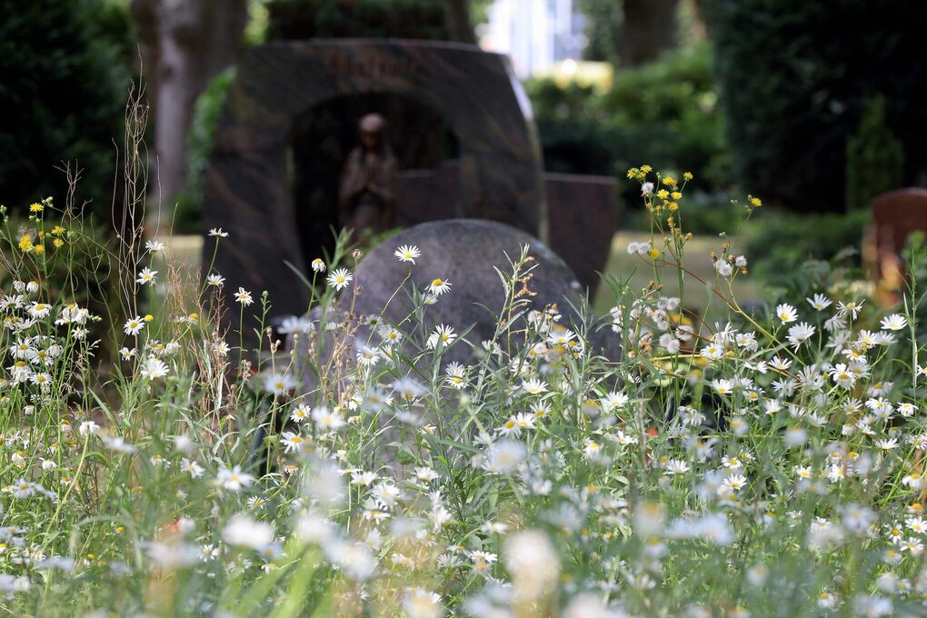 Blumen, die auf einem Friedhof wachsen
