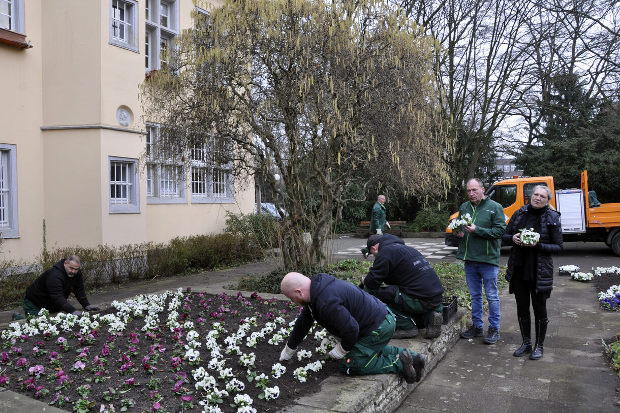 Gärtner bei der Arbeit