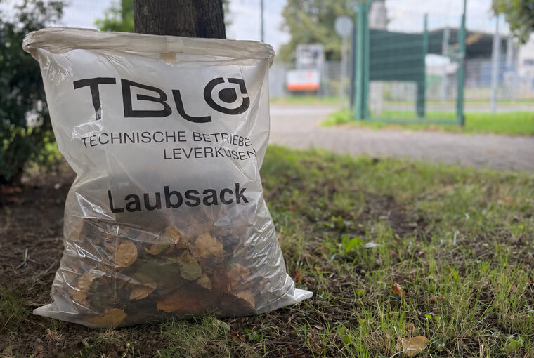Symbolbild Laubsack