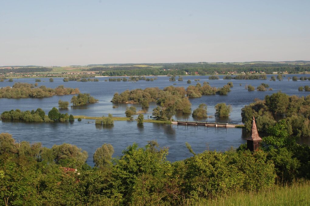 Auenlandschaft im Nationalpark Unteres Odertal