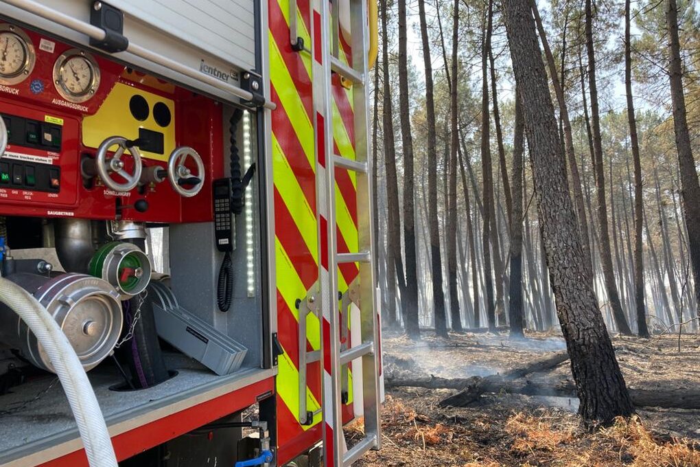 Die Rückseite eines Feuerwehrautos ist in einem Waldstück, das brennt, zu sehen