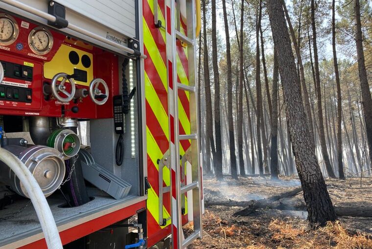 Die Rückseite eines Feuerwehrautos ist in einem Waldstück, das brennt, zu sehen