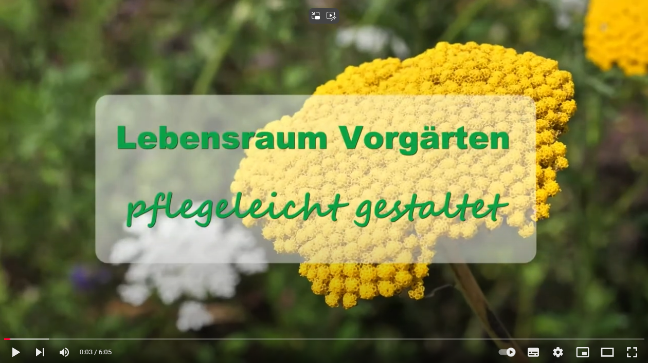 Infos zur naturnahen und pflegearmen Gestaltung von Vorgärten