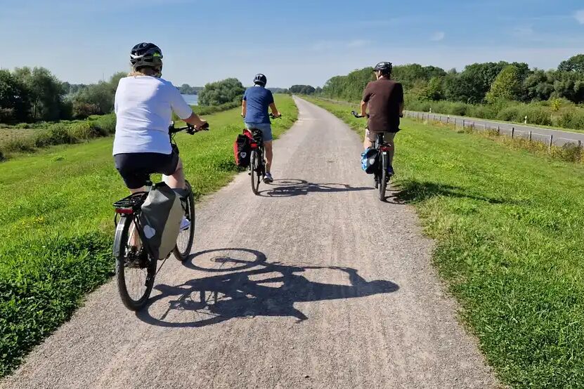Radfahrende am Rhein