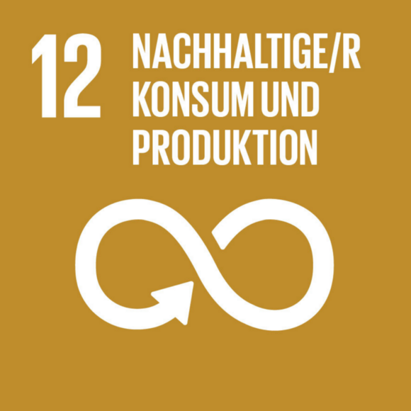 Ziel 12: Nachhaltige/r Konsum und Produktion