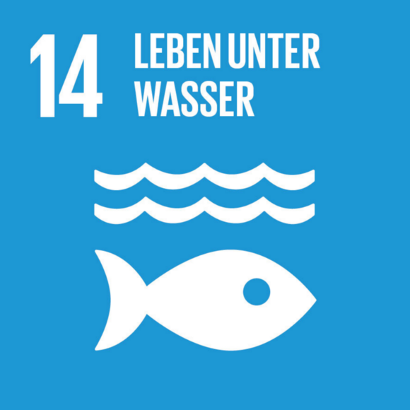 Ziel 14: Leben unter Wasser