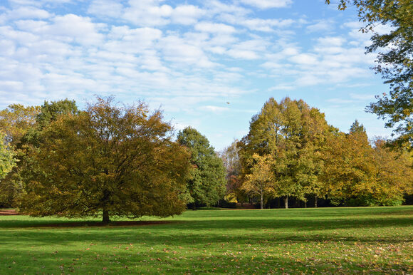 Carl-Duisberg-Park im Herbst mit buntem Laub
