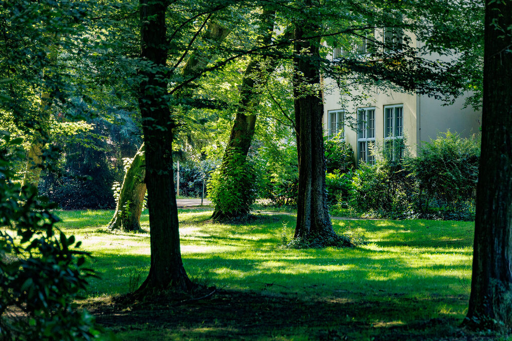 Stadtpark mit Bäumen und viel grün