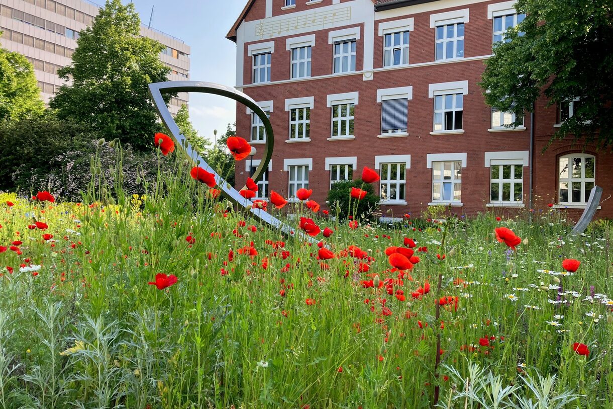 Das Gebäude der Leverkusener Musikschule